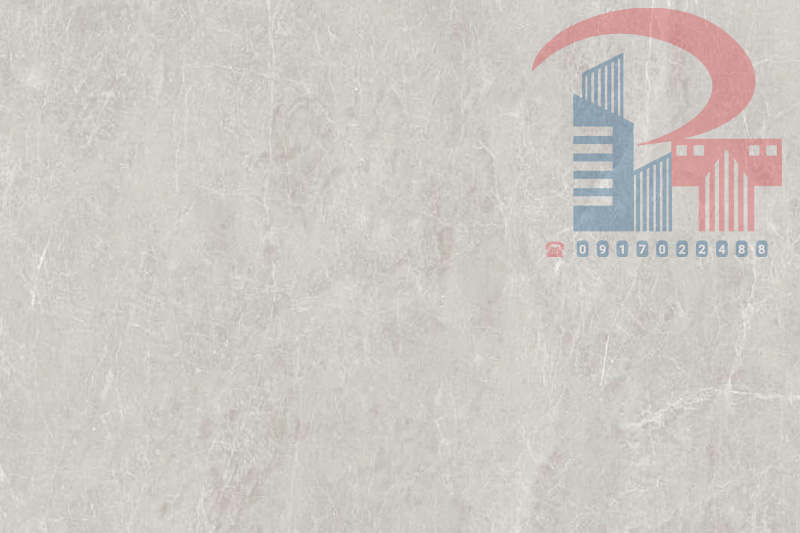 COREL GRAY