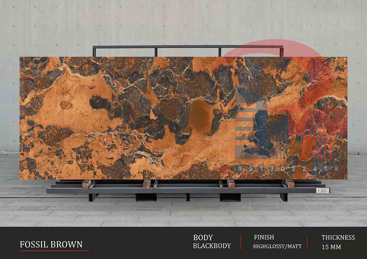 FOSSIL BROWN