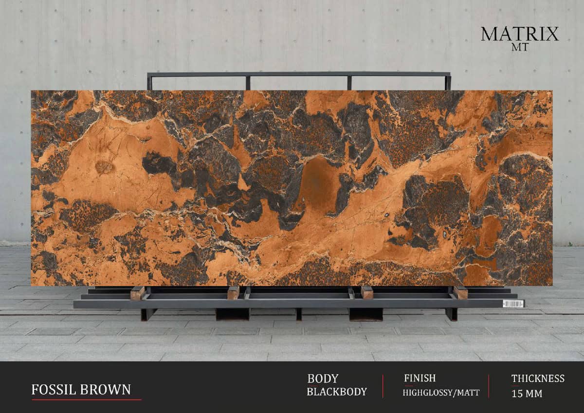 FOSSIL BROWN